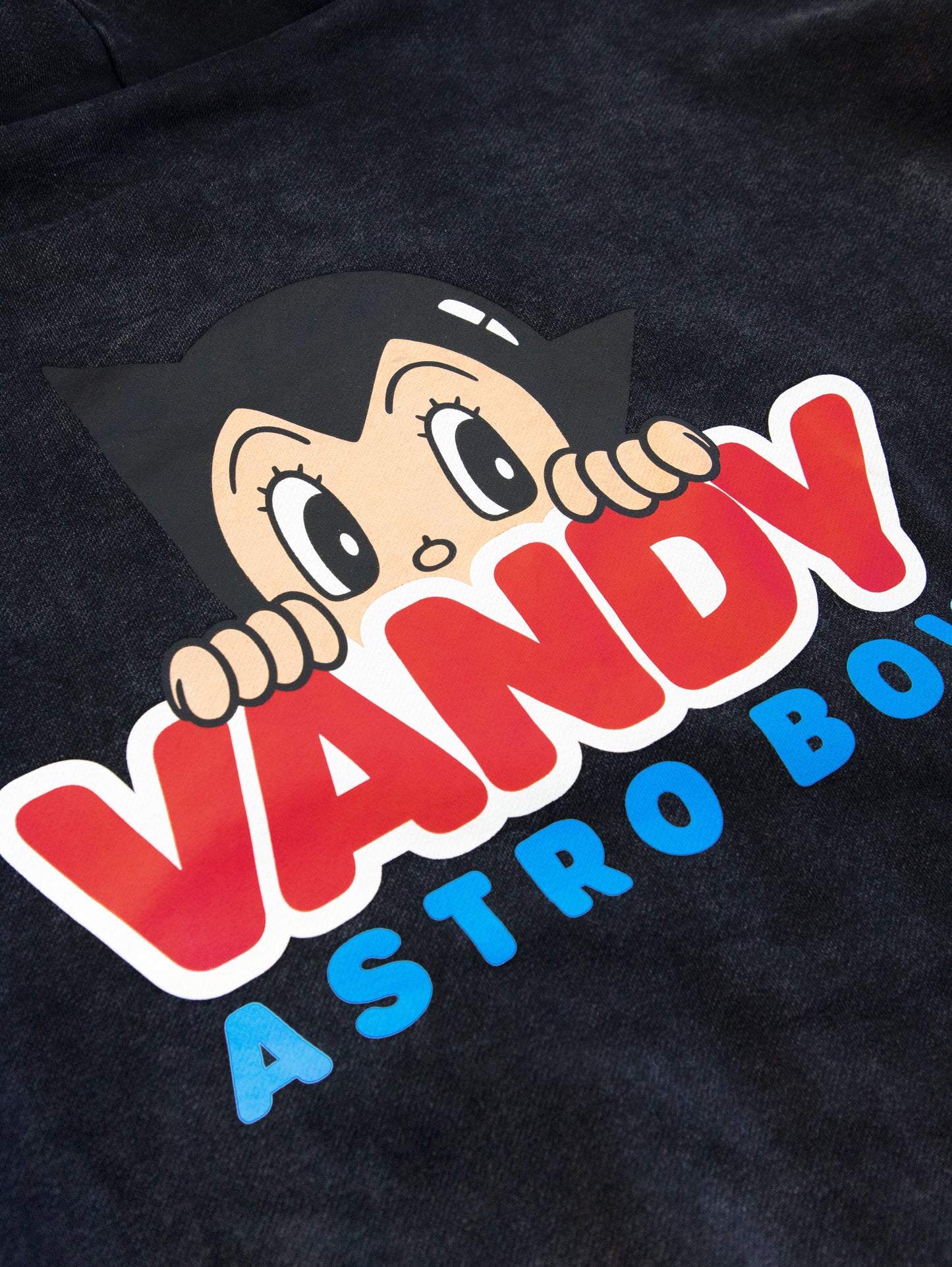 Vandy x Astro Boy Reversible Flannel Hoodie